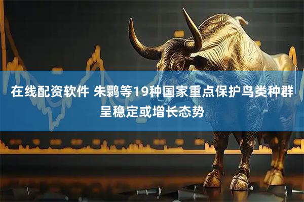 在线配资软件 朱鹮等19种国家重点保护鸟类种群呈稳定或增长态势